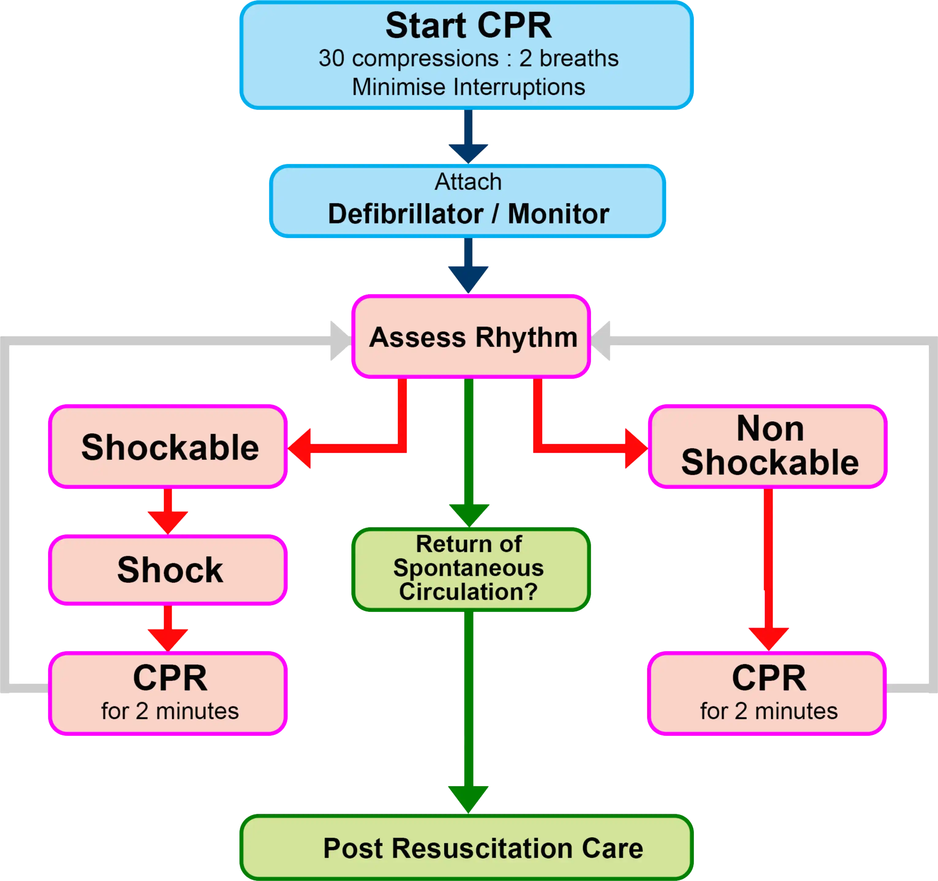 ANZCOR Adult Resuscitation Flowchart